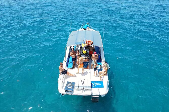 2 hour trip to see whales dolphins puerto colon adeje - Key highlights you can plan around