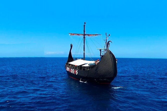 2h Viking Cruise Whales & Dolphins Watching - Logistics you should handle: meeting point and voucher details