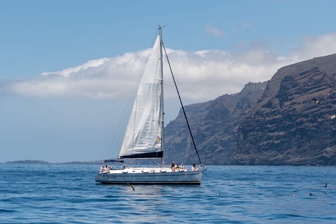 3-Hour Cetacean Watching and Snorkeling Tour in Tenerife - Whale watching: what you’re hoping for and how to enjoy it