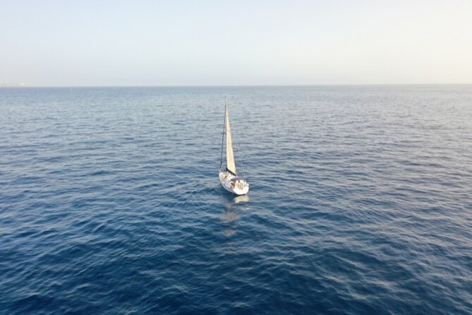 3-Hour Cetacean Watching and Snorkeling Tour in Tenerife - Masca bath and snorkel hour: where the tour gets personal