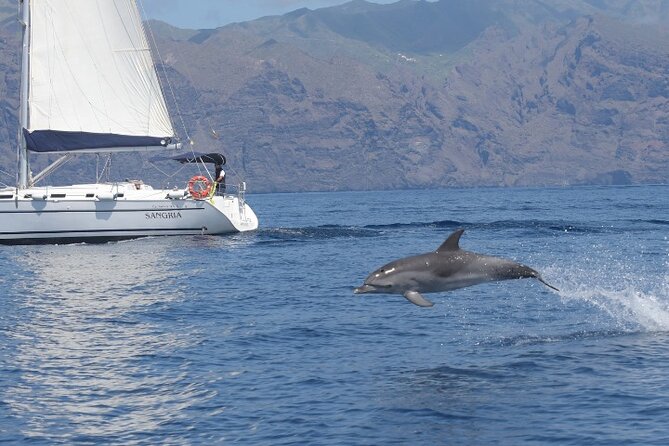 3-Hour Cetacean Watching and Snorkeling Tour in Tenerife - Comfort and group size: why max 12 matters