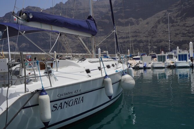 3-Hour Cetacean Watching and Snorkeling Tour in Tenerife - Sangria boat time: the rhythm of a tight 3-hour tour
