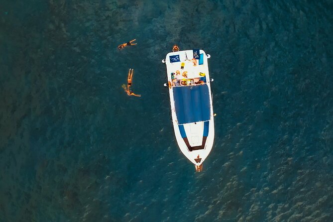 3-hour excursion to Puerto Colón Adeje to see whales - Meeting at Av. de Colón: the easiest way to start strong