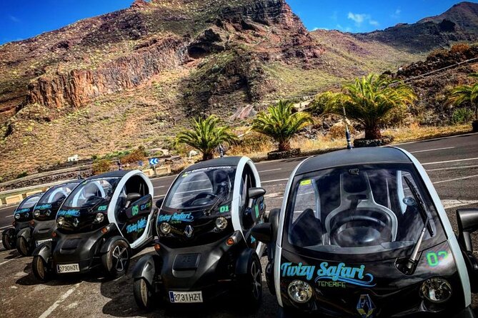 4 Hours Eco Safari Tour with Electric Car in Tenerife - Key things I’d put on your radar