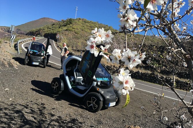 4 Hours Eco Safari Tour with Electric Car in Tenerife - Stop 4 at Puerto de Santiago: A Real Export Banana Plantation
