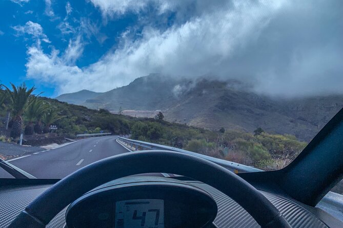 4 Hours Eco Safari Tour with Electric Car in Tenerife - Practical Tips That Make the Day Smoother