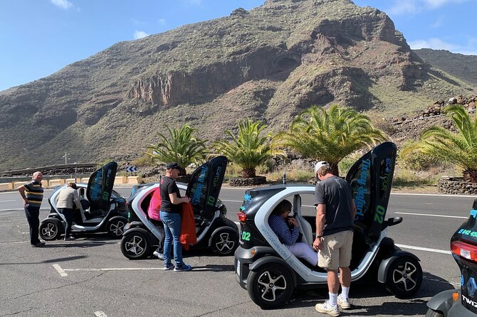 4 Hours Eco Safari Tour with Electric Car in Tenerife - The Electric Twizy: How Fun It Is, and What to Watch For