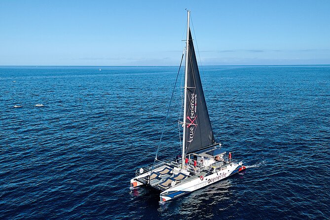 5 hr watching and listening whales and dolps. Visit Los Gigantes - Whale and dolphin viewing: what you should look for