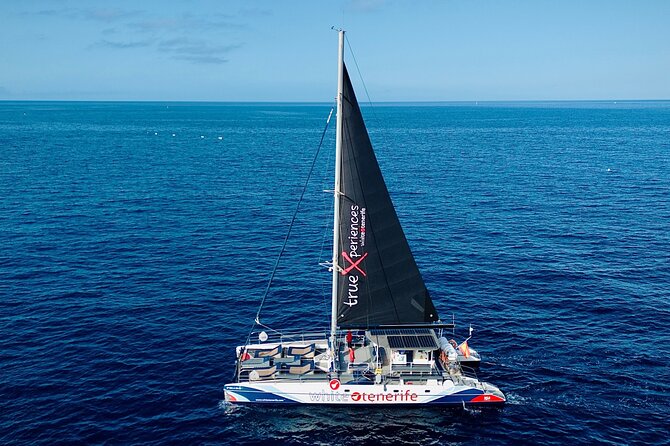 5 hr watching and listening whales and dolps. Visit Los Gigantes - What’s included onboard: lunch, drinks, and staying comfortable
