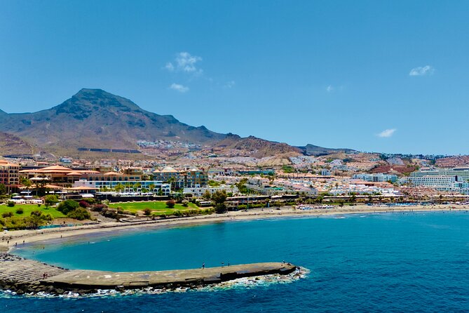 5 hr watching and listening whales and dolps. Visit Los Gigantes - Getting the most out of a 10:30 departure