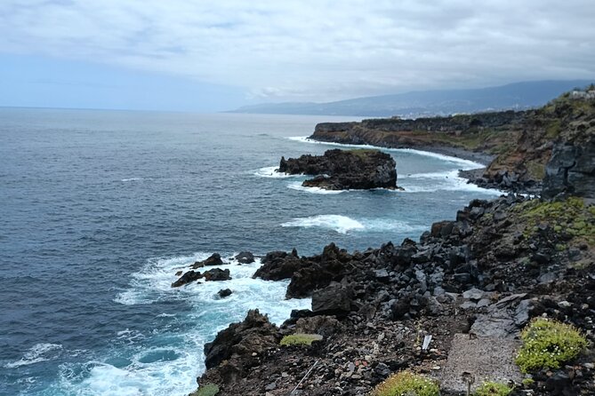 6hrs Private Tour in North Coast of Tenerife - Mesa del Mar and Playa La Arena: Black Sand, Calm Water