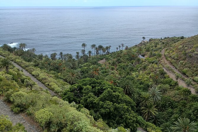 6hrs Private Tour in North Coast of Tenerife - Charco del Viento: Lava Arms Make a Protected Seaside Bay