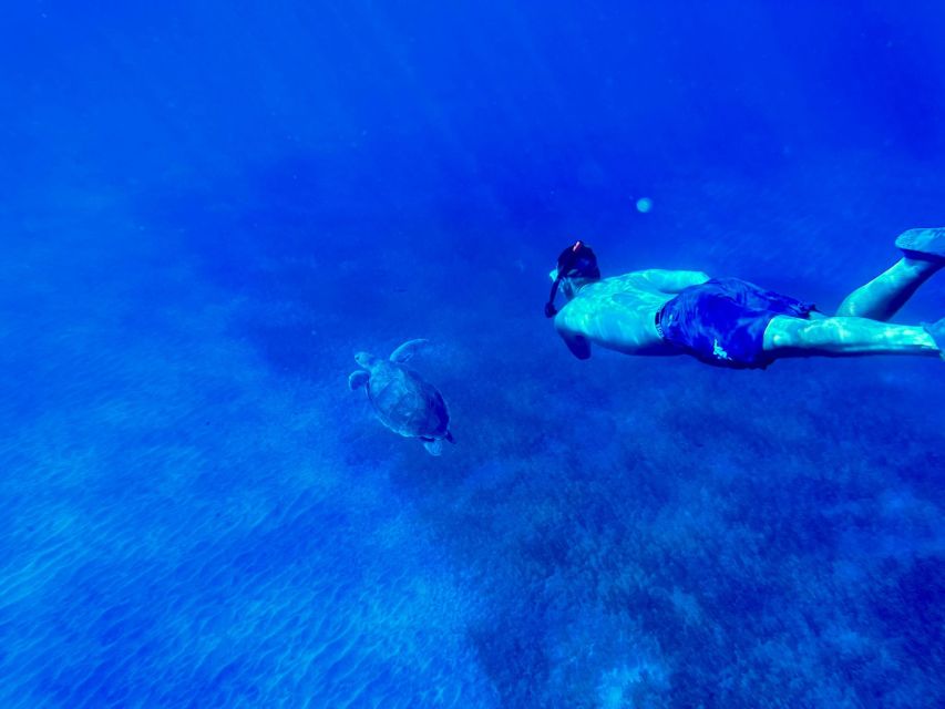 Abades: Guided Snorkeling Tour with Photos - Key highlights to know before you go