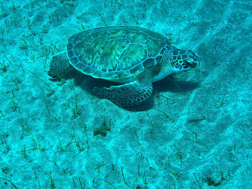 Abades: Guided Snorkeling Tour with Photos - Meeting at Magilu and parking easy in Abades