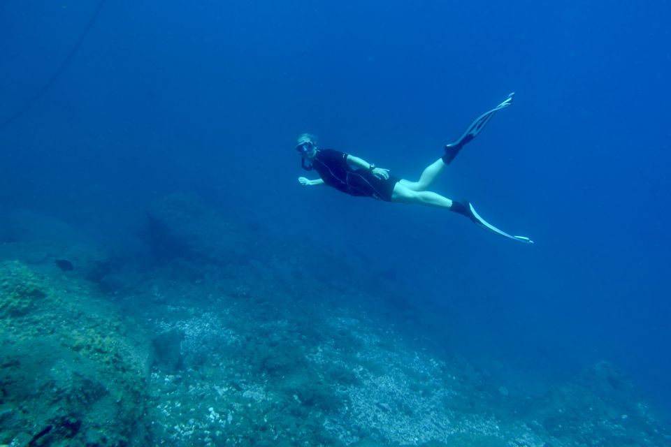 Abades: Guided Snorkeling Tour with Photos - Snorkeling off Playa Abades: reef, fish, stingrays, and octopus spots