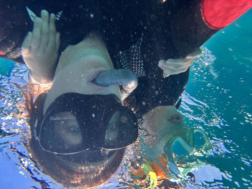 Abades: Guided Snorkeling Tour with Photos - Small-group safety coaching and keeping calm in open water