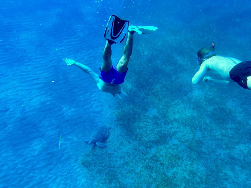 Abades: Guided Snorkeling Tour with Photos - Should you book Abades guided snorkeling off Playa Abades?