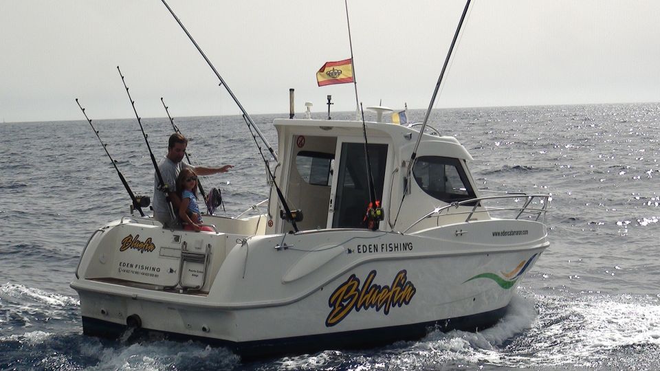 Adeje: 3.5–Hour Professional Fishing Experience - Why a 3.5-hour fishing trip off Adeje is a smart Tenerife plan