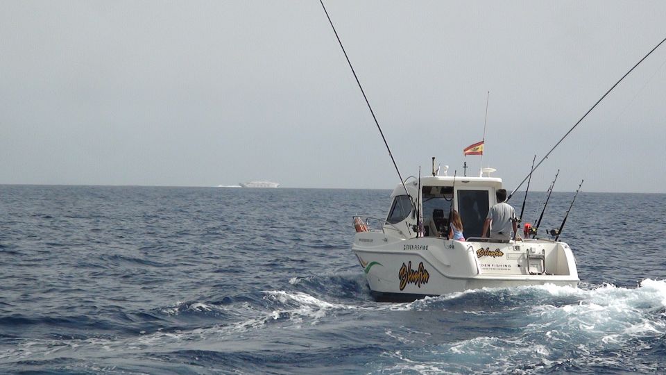 Adeje: 3.5–Hour Professional Fishing Experience - Meeting at Puerto Colón (Gate 3) and getting onboard smoothly