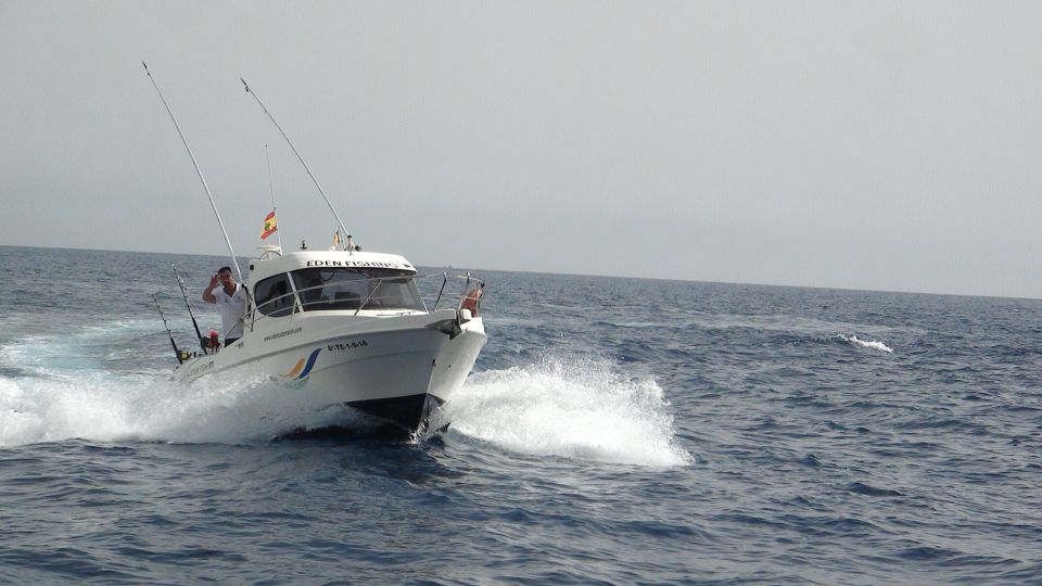 Adeje: 3.5–Hour Professional Fishing Experience - What happens offshore: trolling, tossing, bottom-fishing, and rod time