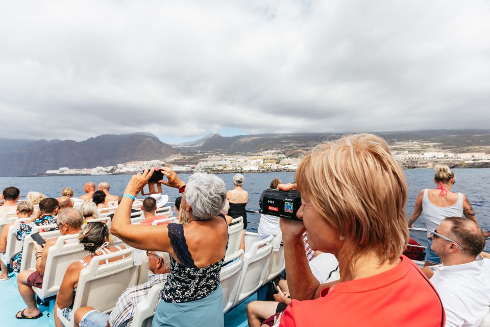 Adeje: Whale and Dolphin Watching Cruise with Lunch and Swim - Practical tips that make the day easier