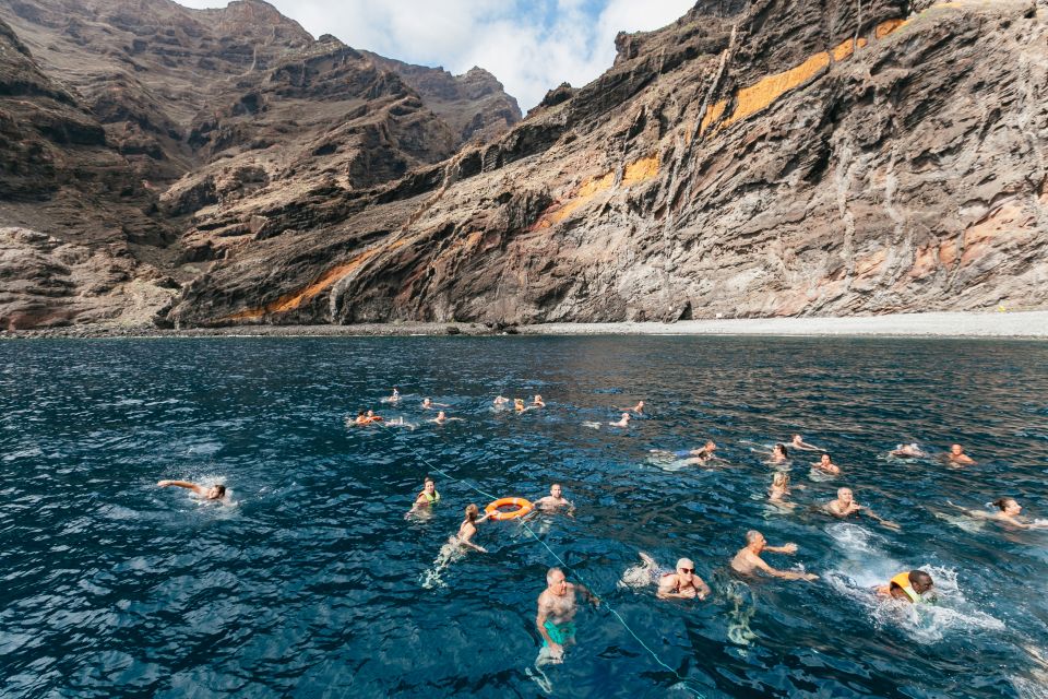 Adeje: Whale and Dolphin Watching Cruise with Lunch and Swim - Underwater viewing with 16 panoramic submarine windows