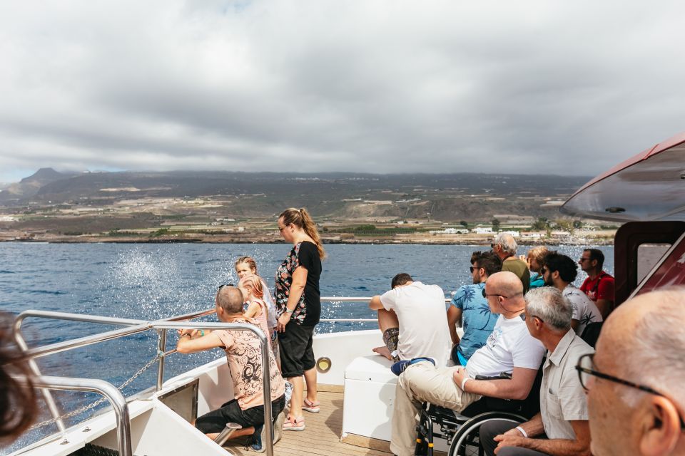 Adeje: Whale and Dolphin Watching Cruise with Lunch and Swim - Lunch and drinks: simple, filling, and timed well