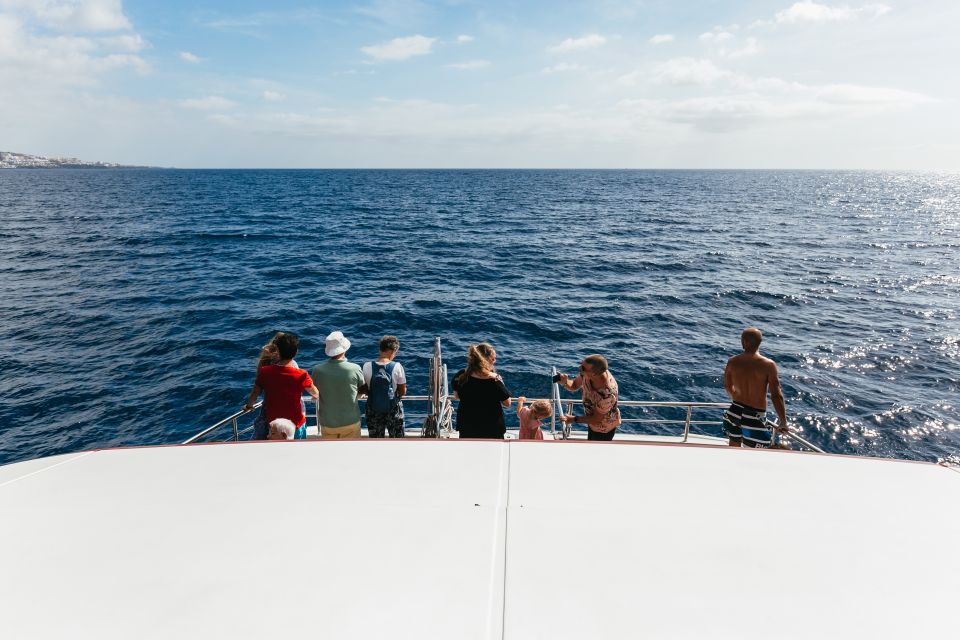 Adeje: Whale and Dolphin Watching Cruise with Lunch and Swim - The swim stop: crystal water and limited fuss