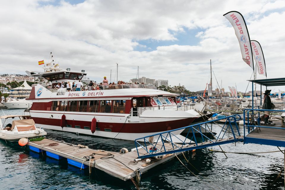Adeje: Whale and Dolphin Watching Cruise with Lunch and Swim - Whales and dolphins: how the experience feels when they show up