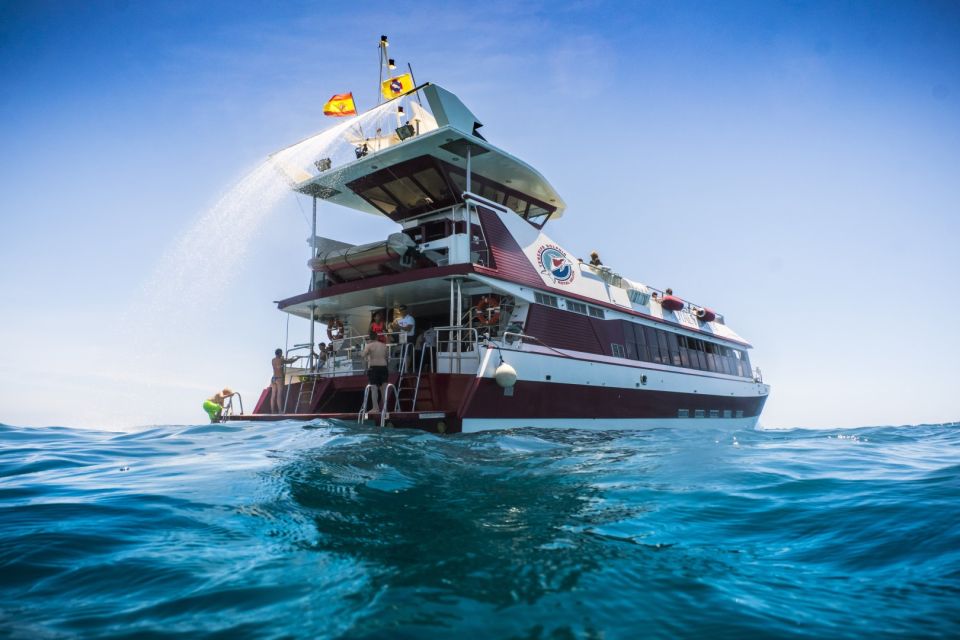 Adeje: Whale and Dolphin Watching Cruise with Lunch and Swim - Choosing your route: Diego Hernandez Bay vs Los Gigantes cliffs