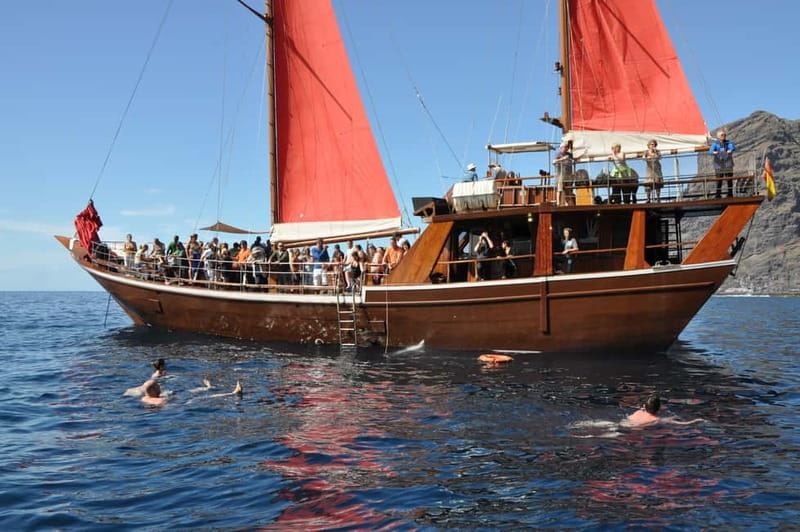 Adeje: Whale Watching Tour to Los Gigantes with lunch & swim - Swimming Tips for Clear Water and Real Comfort