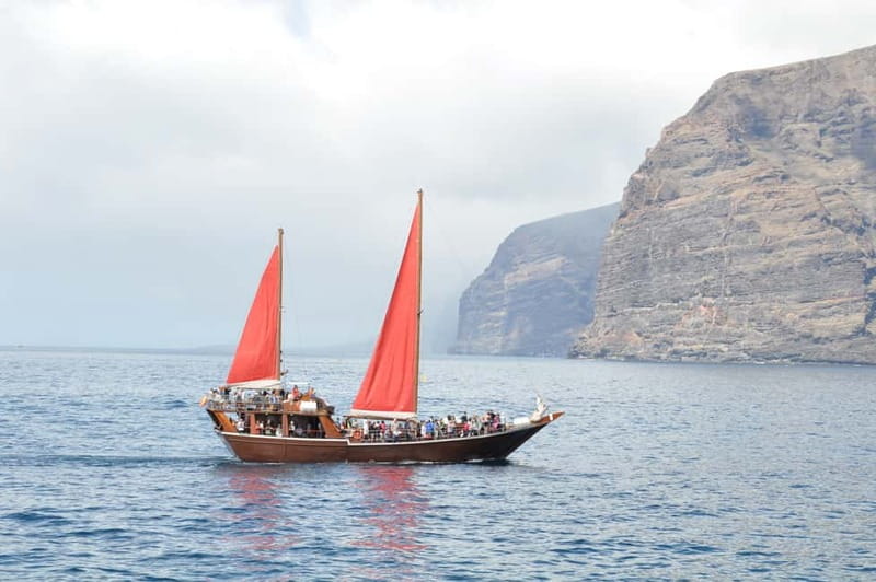 Adeje: Whale Watching Tour to Los Gigantes with lunch & swim - How Seasickness Can Affect Your Day