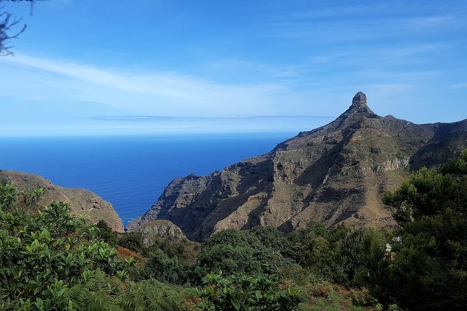 Amazing Anaga - Laurisilva 101: why this ancient forest matters