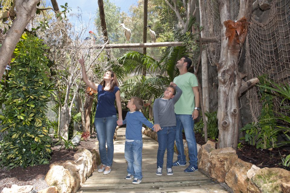 Arona: Entry Ticket to Tenerife's Jungle Park Zoo - Arona Jungle Park: A Real Jungle Zoo in Tenerife