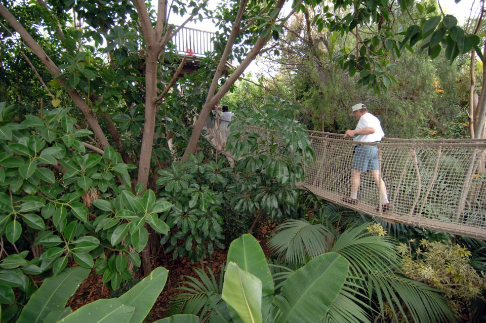 Arona: Entry Ticket to Tenerife's Jungle Park Zoo - Entering Through the Main Desk and Timing Your Day