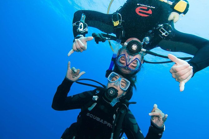 Basic Diver course for beginners with 1 dive in the Ocean - Key highlights worth planning around