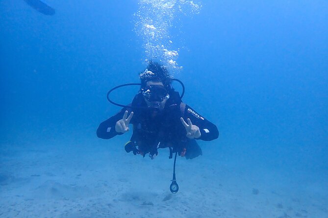 Basic Diver course for beginners with 1 dive in the Ocean - Pool Skills First: Why the Training Setup Actually Helps You Relax