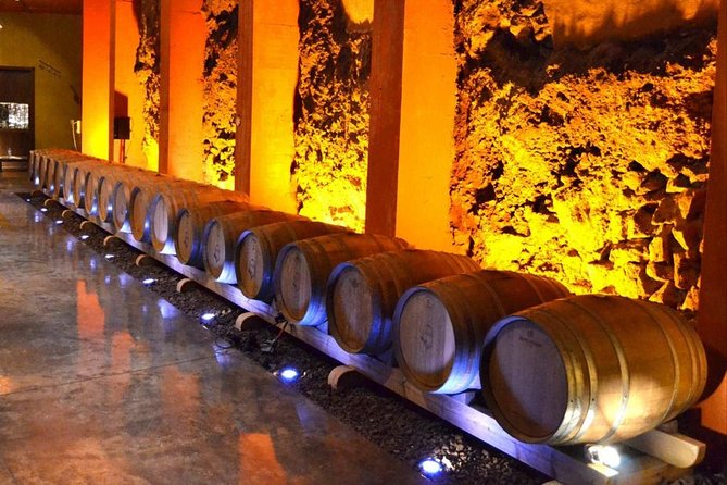 Bodegas Monje Winery Ticket w/Wine Tasting & Mojo Sauce Workshop - Price and value: why this is more than a standard tasting ticket