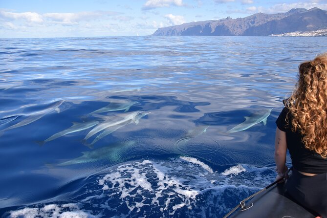 Bonadea II Ecological Whale Watching, 2 hours - Price and value: is $78.64 a fair deal for 2 hours?