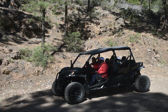 Buggy tour to Teide in Tenerife - Cho and Canarian crops: the farm-and-view flavor of the day