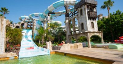 Costa Adeje: Aqualand Water Park Ticket with Dolphin Show - Price and What You Actually Get for About $42