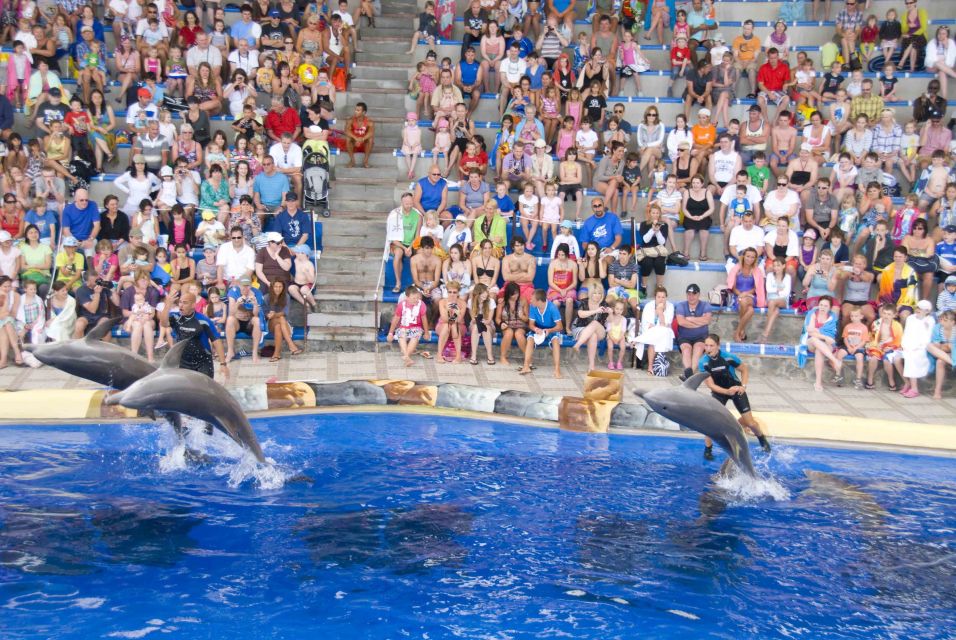 Costa Adeje: Aqualand Water Park Ticket with Dolphin Show - The Lava River and Vulcano Spa Jacuzzi: Real Break Time
