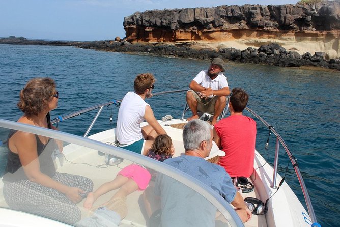 Costa Adeje | Cetacean sighting in Tenerife South - Key Things That Make This Cetacean Cruise Worth Your Time