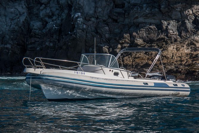 Costa Adeje | Cetacean sighting in Tenerife South - Who Should Book This Eco Cetacean Sighting Tour (and Who Might Hesitate)