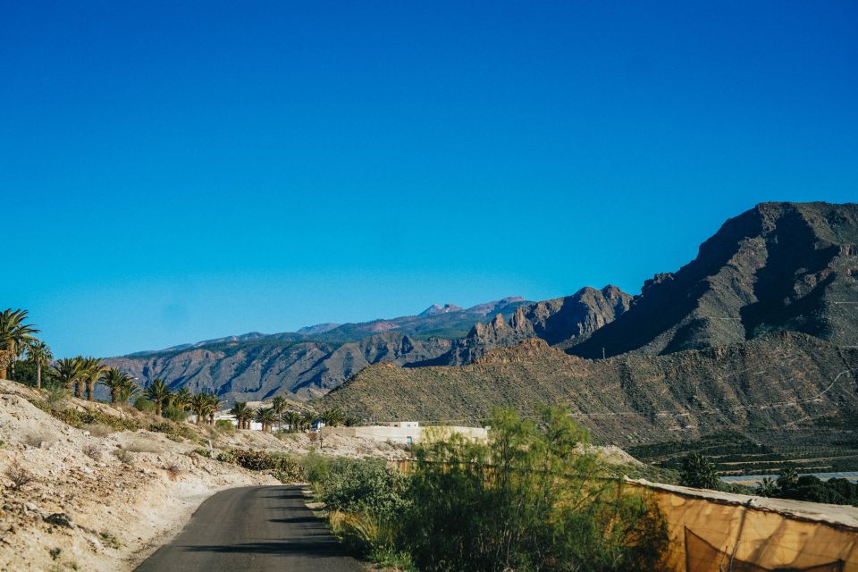 Costa Adeje: Double Tuk Tuk Tour - La Caleta: walking part of the trip makes it feel real