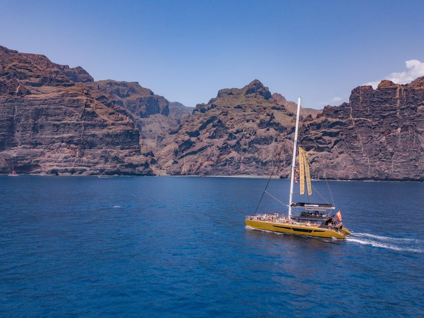 Costa Adeje: Masca and Los Gigantes Whale Watching Cruise - The ocean window: dolphins, pilot whales, and what to expect