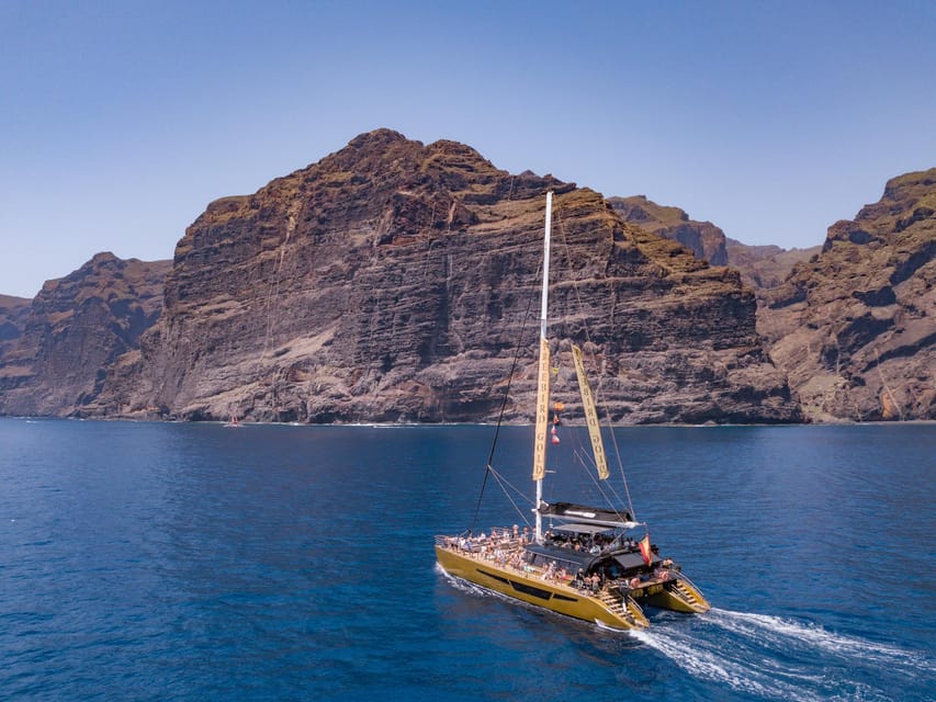 Costa Adeje: Masca and Los Gigantes Whale Watching Cruise - Masca Bay swim stop: the best payoff for your time on the water