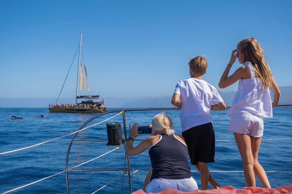 Costa Adeje: Masca and Los Gigantes Whale Watching Cruise - Guides and responsible watching: why the vibe feels calmer