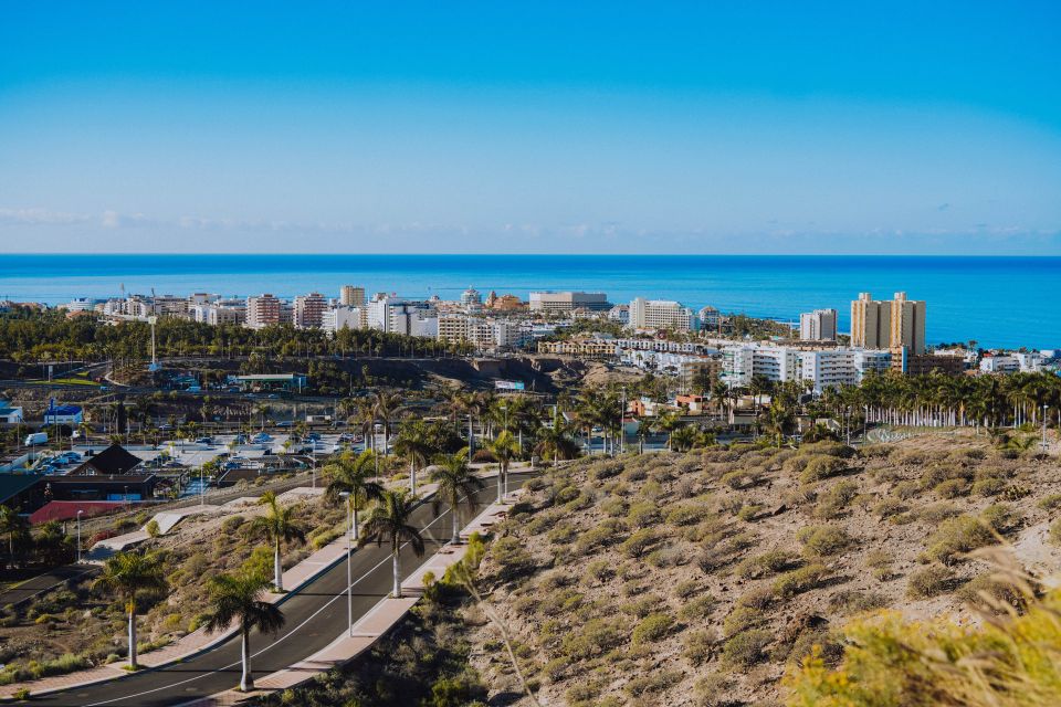 Costa Adeje: Secret Volcano Tuk Tuk Tour - Caldera del Rey: extinct volcano history you can actually picture