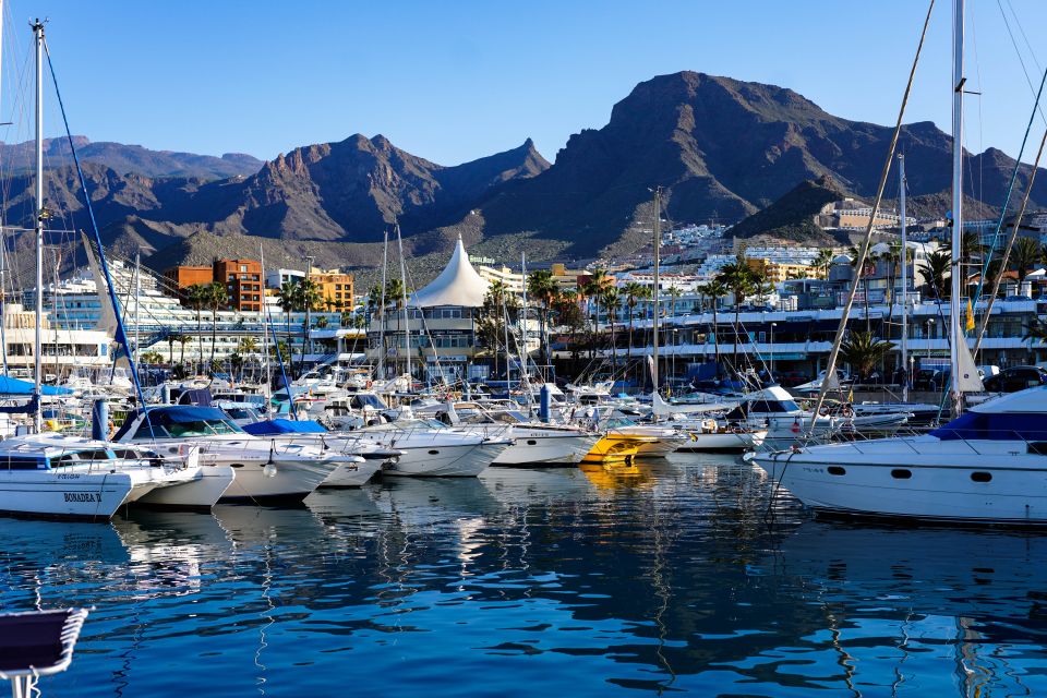Costa Adeje: Tuk Tuk Tour - Oasis del Duque and Back Down to Base: A Tight Route With Clear Payoff